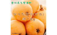 【予約受付中！令和9年6月上旬頃より発送！】なつたより（びわ）約1kg【A-41】