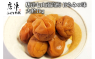 唐津七山 南高梅大粒はちみつ味 500g×2(合計1kg)「 irodoriからつ 四季の返礼品」山間から湧き出る澄んだ水をふんだんに含んだ土壌で栽培