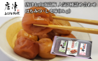 唐津七山 南高梅人気2種詰合せ 500g×2(合計1kg)「irodoriからつ四季の返礼品・はちみつ味・しそ味(減塩)」山間から湧き出る澄んだ水をふんだんに含んだ土壌で栽培