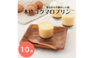 本格コクマロプリン10個入り（A403-2）