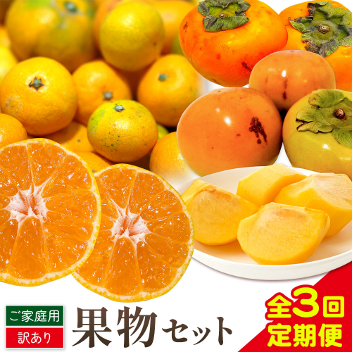 【発送月固定定期便】フルーツセット ご家庭用 訳あり果物セット (平核無柿 富有柿 みかん)【全３回】 魚鶴商店《10月上旬-12月上旬出荷予定(土日祝除く)》 和歌山県 日高川町 平核無柿 富有柿 柿 みかん 柑橘 蜜柑 果物 フルーツ 送料無料 定期便 2640991 - 和歌山県日高川町
