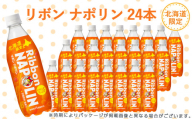 リボン ナポリン＜北海道限定＞24本