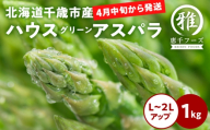 【2027年春発送】 ハウスグリーンアスパラ 1㎏ L～2Lアップ