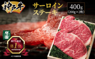 神戸牛 サーロイン ステーキ 400g(200g×2枚)[あしや竹園] 牛肉 黒毛和牛 肉 お肉 サーロインステーキ ステーキ 霜降り 国産 BBQ ギフト 贈答用 芦屋 芦屋市 兵庫 贈答
