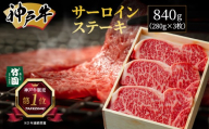 神戸牛 サーロイン ステーキ 840g(280g×3枚)[あしや竹園]牛肉 黒毛和牛 肉 お肉 サーロインステーキ ステーキ 霜降り 国産 BBQ ギフト 贈答用 芦屋 芦屋市 兵庫 贈答