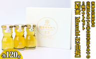 【数量限定】山桜はちみつと春の田舎はちみつの3種ギフトセット[結蜜 Musubi-R3山桜] 【茨城県共通返礼品／五霞町】 ※着日指定不可 | 生ハチミツ 非加熱 茨城県産 はちみつ ハチミツ 蜂蜜 国産 純粋 食べくらべ 食べ比べ セット 詰め合わせ   おすすめ ミツバチ 蜜蜂 みつばち 茨城県産 贈答 贈り物 プレゼント 茨城県 古河市 送料無料  _EY01