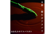 アスパラ王子が育てた自慢のアスパラ　おおもりやオリジナル　穂だけアスパラ1kg（さぬきのめざめ おおもりや）【予約受付：ご用意でき次第発送】【H-77】