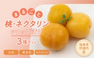 まるごと桃・ネクタリン3種セット（白桃、黄金桃、ネクタリン） F20C-335