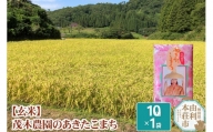 米 10kg 玄米 あきたこまち 令和5年産 秋田県産 茂木農園のあきたこまち 玄米 10kg