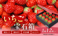 いちご 2027年 先行予約 いちごの宝石箱 1箱 12粒入り イチゴ 苺 果物 岡山県 赤磐市