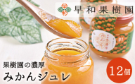 【早和果樹園】濃厚みかんジュレ（12個入）（A953-2）