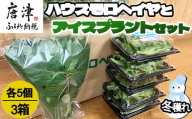 『先行予約』【12月上旬より順次発送】冬穫れハウスモロヘイヤ(100g×5袋)とアイスプラント(70g×5P)セット 3箱 ネバネバ 高栄養価 プチプチ新体験 定番おひたし 和洋中の各種スープ お肉・お魚のメイン料理の付け合わせ