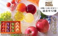 太陽いっぱいゼリー詰合せ 12個 スイーツ 北海道 千歳 プレゼント ギフト 手土産 銘菓 ゼリー 《北海道千歳市 もりもと》