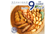 【天乙商店】おつまみ天ミックス 180ｇ×3袋×3箱 計1620ｇ(A1082-2)