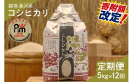 令和7年産【白米5kg/12回定期便】「五つ星お米マイスター」の精米【湯沢産コシヒカリ】
