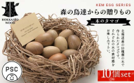 【ＫＥＭ】森の鳥達からの贈りもの（木のタマゴ）10個set HOKKAIDO WOOD 木製 おもちゃ 木のたまご セット 知育玩具 子ども用 国産 北海道 木工 自然素材 インテリア ナチュラル ギフト プレゼント F6S-709