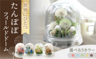 [チョコレートナチュラル]たんぽぽフィールドドーム 世界にひとつ / プリザーブドフラワー アレンジメント 花材 お花ギフト / 大村市 サニーサイドファクトリー [ACCK004-5]