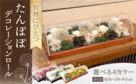 [チョコオレンジグリーン]デコレーションロール プリザーブドドライ たんぽぽ / プリザーブドフラワー アレンジメント ロールケーキ お花ギフト / 大村市 サニーサイドファクトリー [ACCK005-3]