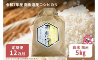 令和7年産 12か月定期便【白米5㎏/12回】越後湯沢産 南魚沼産 コシヒカリ 豪雪を源とする水の恵み【湯沢産 コシヒカリ】