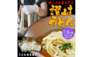 たどつ製麵　本生かけうどん　だし付き 8人前【B-73】