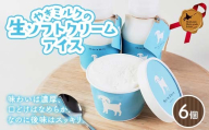 やぎミルクの生ソフトクリームアイス 6個セット 北のハイグレード食品 北海道産 やぎミルク ソフトクリーム アイス デザート スイーツ 乳製品 国産 濃厚 さっぱり 詰め合わせ お取り寄せ ギフト F6S-602