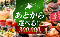 【あとから選べるリンベルデジタルギフト】北海道ふるさとギフト 300,000point  北海道 デジタルギフト カタログギフト ギフト券 ギフトリスト チケット ポイント制 後から選べる プレゼント 贈り物 高額 ギフト 人気 おすすめ F6S-654