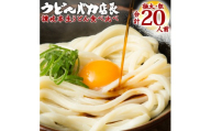 ≪自然の館≫味源 うどんバカ店長　本場讃岐の本生うどん食べ比べセット20人前　純生タイプ【L-73】