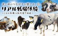 体験 牧場 食と命のつながりを感じるリアル牧場体験 ～ こはら牧場 in 笠岡湾干拓地 ～ 《30日以内に出荷予定(土日祝を除く)》株式会社こはら 岡山県 笠岡市 牛 乳牛 酪農 学習