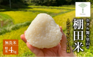 先行受付 ホタル舞う里山の棚田米 無洗米 精米4kg 令和8年産 にじのきらめき2kg×2袋