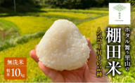 先行受付 ホタル舞う里山の棚田米 無洗米 精米10kg 令和8年産 にじのきらめき2kg×5袋