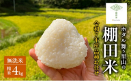 品種お任せ 令和7年産 ホタル舞う里山の棚田米 無洗米 精米4kg ひとめぼれ2kg又は朝日2kgを計2袋