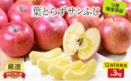 [№5554-0356]りんご 【12月・1月発送】 蜜入り 糖度13度以上 おもてなし用 家庭用 葉とらず サンふじ 約 3kg 【 青森りんご 】 りんご リンゴ 果物 フルーツ 産地直送 贈り物 年末 年始 挨拶