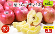 [№5554-0357]りんご 【12月・1月発送】 蜜入り 糖度13度以上  訳あり品 家庭用 葉とらず サンふじ 約 3kg 【 青森りんご 】 果物 フルーツ 産地直送 糖度測定 褐変 チェック 贈り物 年末 挨拶