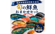 ＜国頭漁業協同組合直送＞旬の鮮魚おまかせセット 3kg(4～8種類)【1738197】