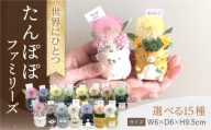 [ねこ(グレー)]たんぽぽファミリーズ ペットお供え / プリザーブドフラワー アレンジメント お花ギフト / 大村市 サニーサイドファクトリー [ACCK006-10]
