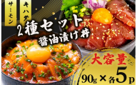 2種 醤油 漬け丼 90g×各5パック サーモン キハダマグロ 鮪 まぐろ 鮭 さけ シャケ 切り身 特製 づけ丼 丼 海鮮丼 刺し身 刺身 切身 手軽 便利 ご飯のお供 簡単調理 時短 海鮮 魚介 惣菜 冷凍 小分け 大容量 ふるさと納税 人気 ふるさと納税漬け丼 ふるさと納税海鮮丼 TY086