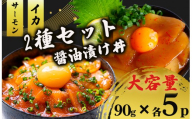 2種 醤油 漬け丼 90g×各5パック サーモン イカ 烏賊 さけ しゃけ 鮭 切り身 特製 づけ丼 丼 海鮮丼 刺し身 刺身 切身 手軽 便利 ご飯のお供 簡単調理 海鮮 魚介 惣菜 冷凍 簡単調理 時短 小分け 大容量 ふるさと納税 人気 ふるさと納税漬け丼 ふるさと納税 海鮮丼 TY089