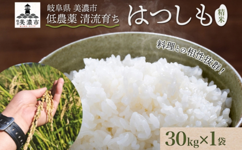 ＜先行予約＞令和8年産 はつしも 精米 30kg×1袋 低農薬 新米 お米 白米 米 ごはん 米 ご飯 ハツシモ R8年産 あっさり ブランド米 お取り寄せ 産地直送 送料無料 美濃グリーン 岐阜県 美濃市 2649483 - 岐阜県美濃市