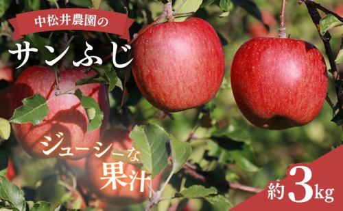 中松井農園のサンふじ　約3kg 長野 小諸 信州 リンゴ 林檎 果物類 りんご 2649490 - 長野県小諸市