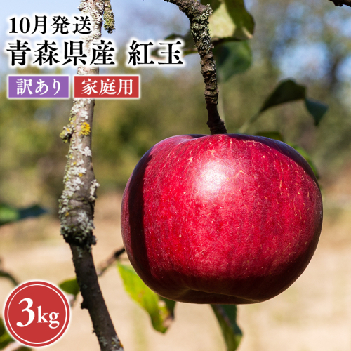 2026年10月発送　【訳あり】家庭用紅玉 約3kg【原田農園】 家庭用 青森 青森県産 平川 りんご リンゴ 林檎 くだもの 果物 フルーツ  2649494 - 青森県平川市