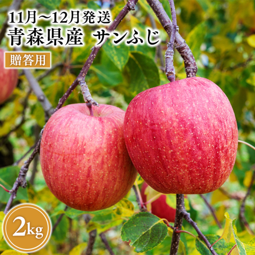 2026年11月～12月発送　贈答用サンふじ 約2kg【原田農園】 贈答 青森 青森県産 平川 葉とらず サンふじ ふじ りんご リンゴ 林檎 くだもの 果物 フルーツ  2649500 - 青森県平川市