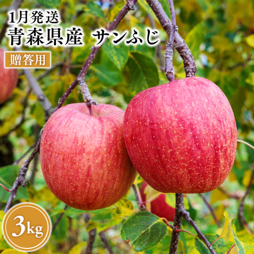 2027年1月発送　贈答用サンふじ 約3kg【原田農園】 贈答 青森 青森県産 平川 葉とらず サンふじ ふじ りんご リンゴ 林檎 くだもの 果物 フルーツ  2649699 - 青森県平川市