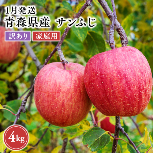2027年1月発送　【訳あり】家庭用サンふじ 約5kg【原田農園】 家庭用 青森 青森県産 平川 りんご リンゴ 林檎 くだもの 果物 フルーツ 葉とらず サンふじ ふじ 2649703 - 青森県平川市