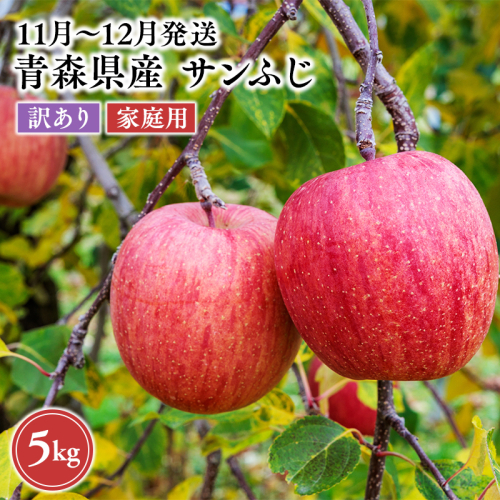 2026年11月～12月発送　【訳あり】家庭用ぐんま名月 約3kg【原田農園】 家庭用 青森 青森県産 平川 りんご リンゴ 林檎 くだもの 果物 フルーツ  2649705 - 青森県平川市