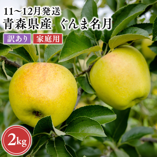 2026年11月～12月発送　【訳あり】家庭用ぐんま名月 約2kg【原田農園】 家庭用 青森 青森県産 平川 りんご リンゴ 林檎 くだもの 果物 フルーツ  2649716 - 青森県平川市