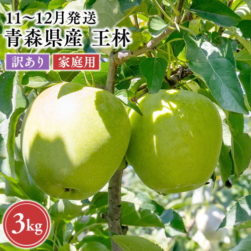 2026年11月～12月発送　【訳あり】家庭用王林 約3kg【平川市　原田農園】 2649720 - 青森県平川市