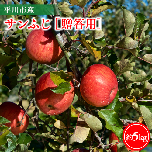 【11月下旬～順次発送】贈答用サンふじ5kg【今井農園】≪hi-0064-009≫ 2649729 - 青森県平川市