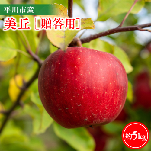 【11月下旬～順次発送】贈答用美丘5kg【今井農園】≪hi-0064-013≫ 2649737 - 青森県平川市