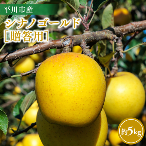 【11月～順次発送】贈答用シナノゴールド5kg【今井農園】≪hi-0064-015≫ 2649740 - 青森県平川市