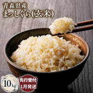 ≪令和8年産 先行予約≫1月中旬よりお届け! 青森県平川市産まっしぐら10kg(玄米)